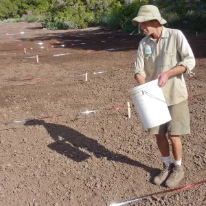 Sowing wildflower seed mixed with sand, Meadow Revival Project