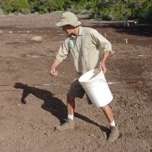 Sowing wildflower seed mixed with sand, Meadow Revival Project