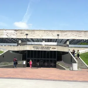 Docent field trip to La Brea tar pits, George C. Paige Museum, La Brea Discoveries