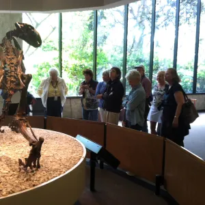 Docent field trip to La Brea tar pits, George C. Paige Museum, La Brea Discoveries