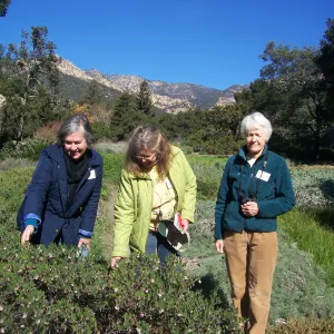 California Naturalists, SBBG, Judy Sanregret, Susan Davidson, Cathy Rose