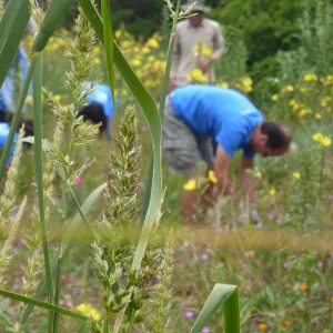 Volunteers from Citrix, Dirty Hands Brigade