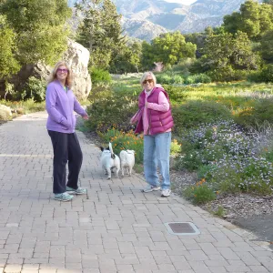 Visitors with dogs on leash, SBBG
