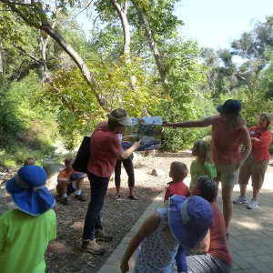 Creek Critters, childrens class