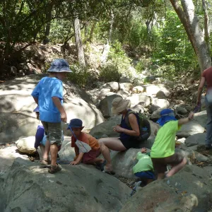 Creek Critters, childrens class