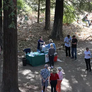 Santa Barbara Beer Garden Event, Redwood Section