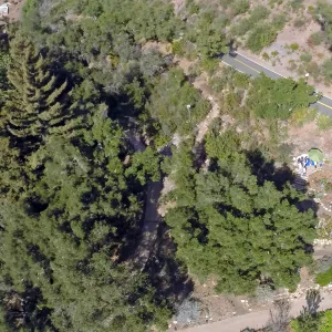 Santa Barbara Beer Garden Event