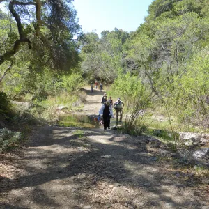 Steve Junak Retirement Trip to Santa Cruz Island