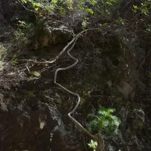 Steve Junak Retirement Trip to Santa Cruz Island