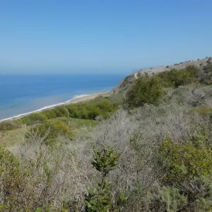 Steve Junak Retirement Trip to Santa Cruz Island