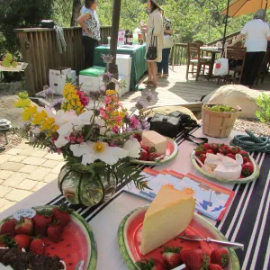 wine and cheese table,Wine and Cheese Botanic Lecture Series