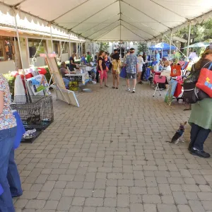 Trails n Tails 2014, Vendor Exhibit Area