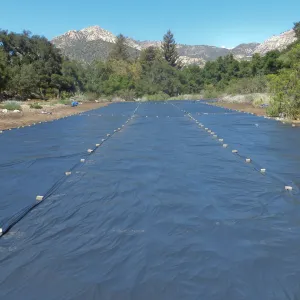 Meadow Revival Project Black Plastic Mulch Installation