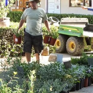 Fall Plant Sale 2014 Preparations