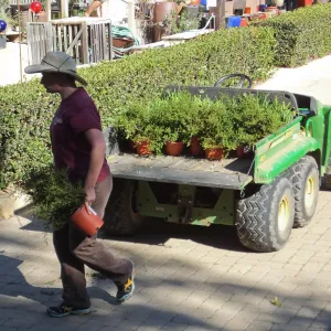 Fall Plant Sale 2014 Preparations