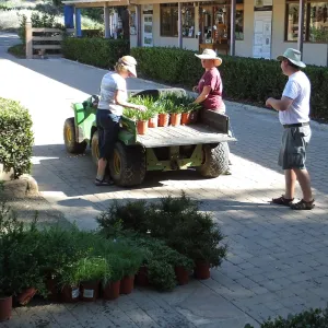 Fall Plant Sale 2014 Preparations