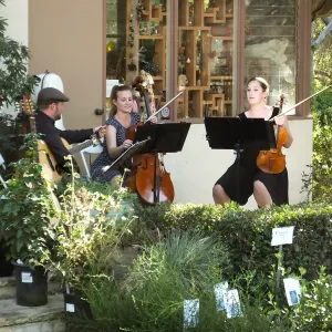 Fall Plant Sale 2014 Member Preview Party, Mission Creek Trio