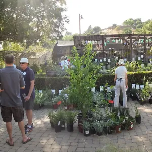 Fall Plant Sale 2014 Member Preview Party