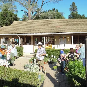 Fall Plant Sale 2014 Member Preview Party