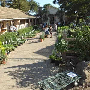 Fall Plant Sale 2014 Member Preview Party