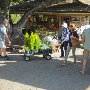 Fall Plant Sale 2014 Member Preview Party