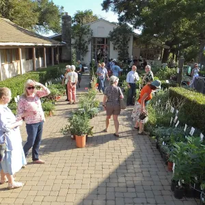 Fall Plant Sale 2014 Member Preview Party