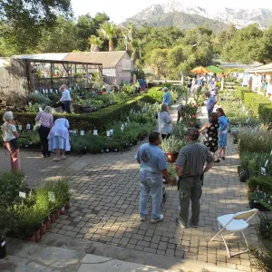 Fall Plant Sale 2014 Member Preview Party