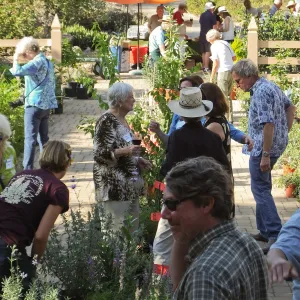 Fall Plant Sale 2014 Member Preview Party