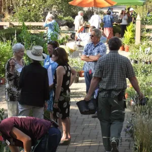 Fall Plant Sale 2014 Member Preview Party