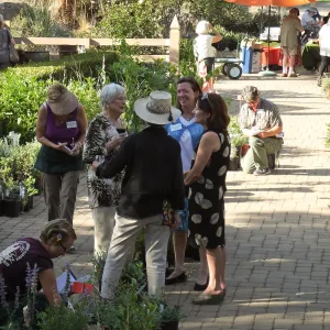 Fall Plant Sale 2014 Member Preview Party