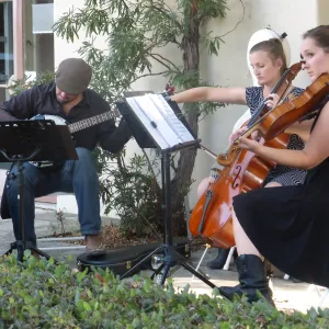Fall Plant Sale 2014 Member Preview Party, Mission Creek Trio