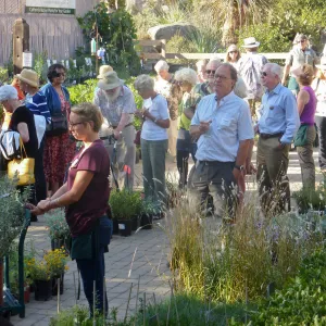 Fall Plant Sale 2014 Member Preview Party