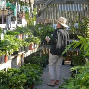 Fall Plant Sale 2014 Member Preview Party