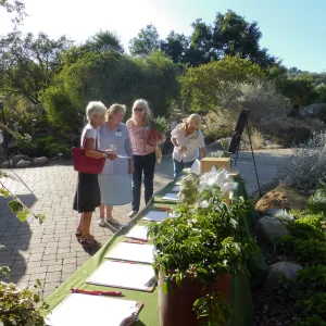 Fall Plant Sale 2014 Member Preview Party