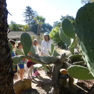 Chumash Uses of Plants Tour for 3rd Graders from Cold Springs School