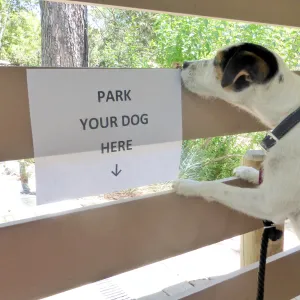 Park Your Dog Here