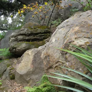 Rocks in the Arroyo
