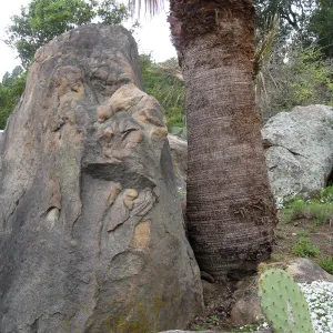 Desert Section