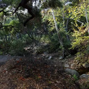 View from east wall of Mission Canyon on trail below Manzanita Section