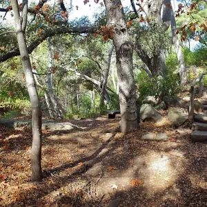 View from east wall of Mission Canyon on trail below Manzanita Section