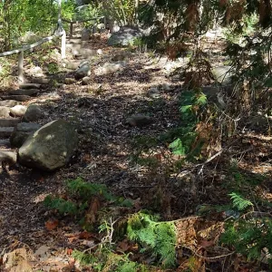View from east wall of Mission Canyon on trail below Manzanita Section