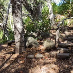View from east wall of Mission Canyon on trail below Manzanita Section