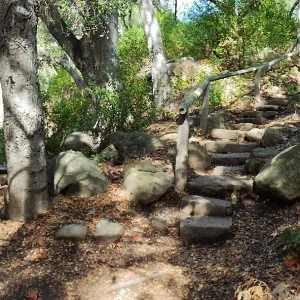 View from east wall of Mission Canyon on trail below Manzanita Section