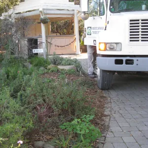 2012 Meadow Oaks Planting, Berylwood Tree Farms