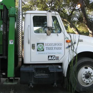 2012 Meadow Oaks Planting, Berylwood Tree Farms