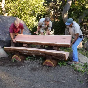 Installation of the Bobbie Jones bench, made from the giant sequoia removed from the Arroyo Section