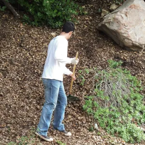 Volunteers from Cate School working in the Arroyo Section