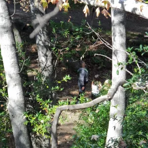Docent leading Habitat Hike for students from Ballard School