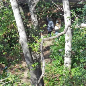 Docent leading Habitat Hike for students from Ballard School