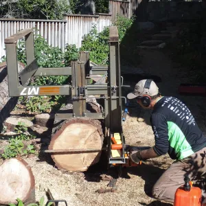 Trunk of former Cottage Oak (Coastal Live Oak) being milled into slabs by Ed Smith of Local Wood